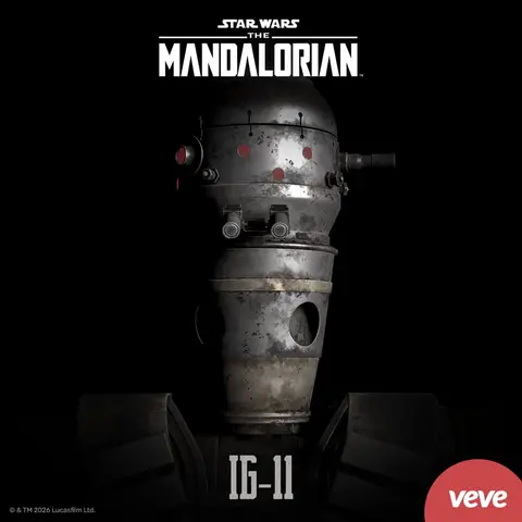 IG-11 - official VeVe collectible art